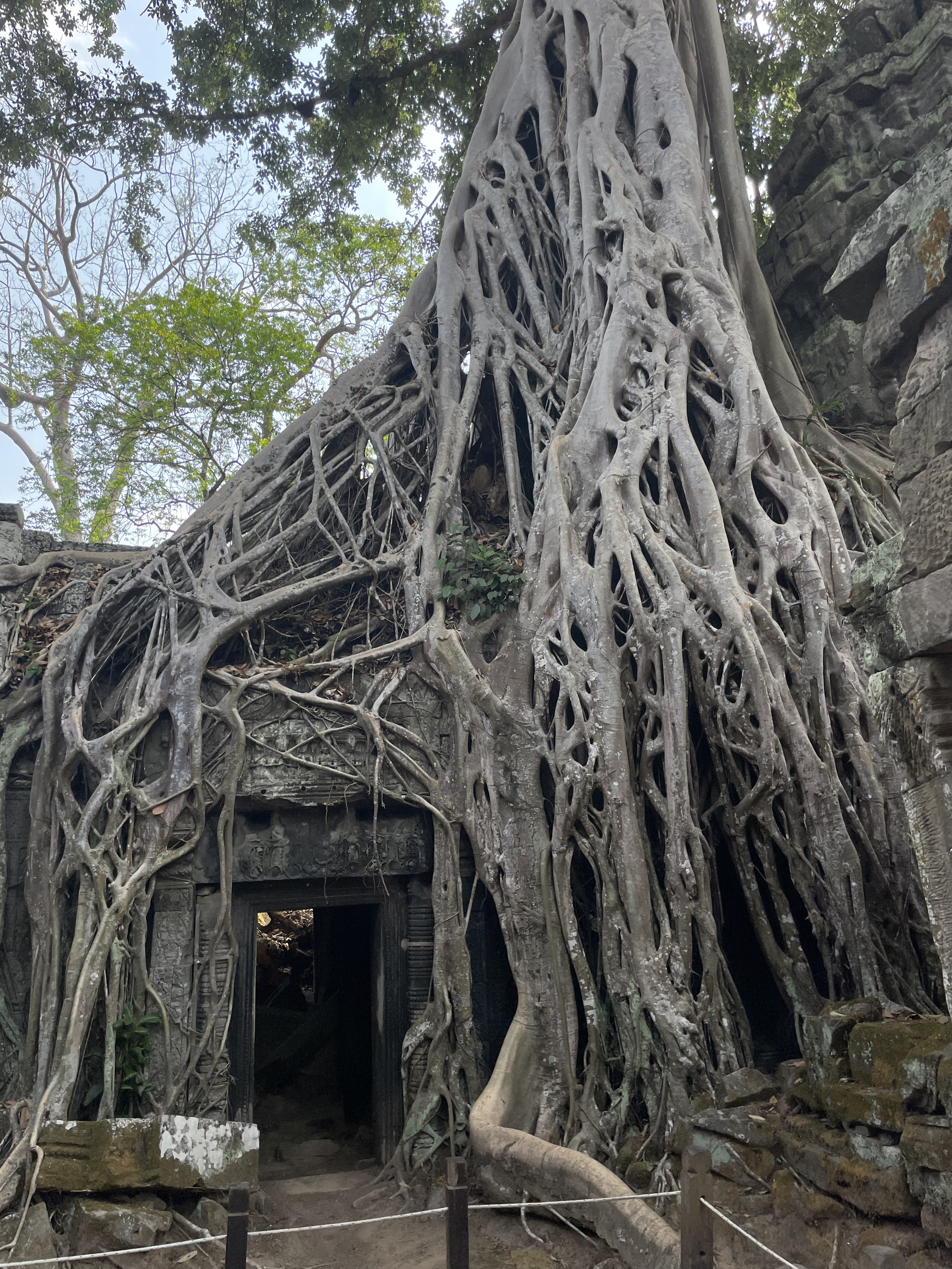Ta Prohm Temple