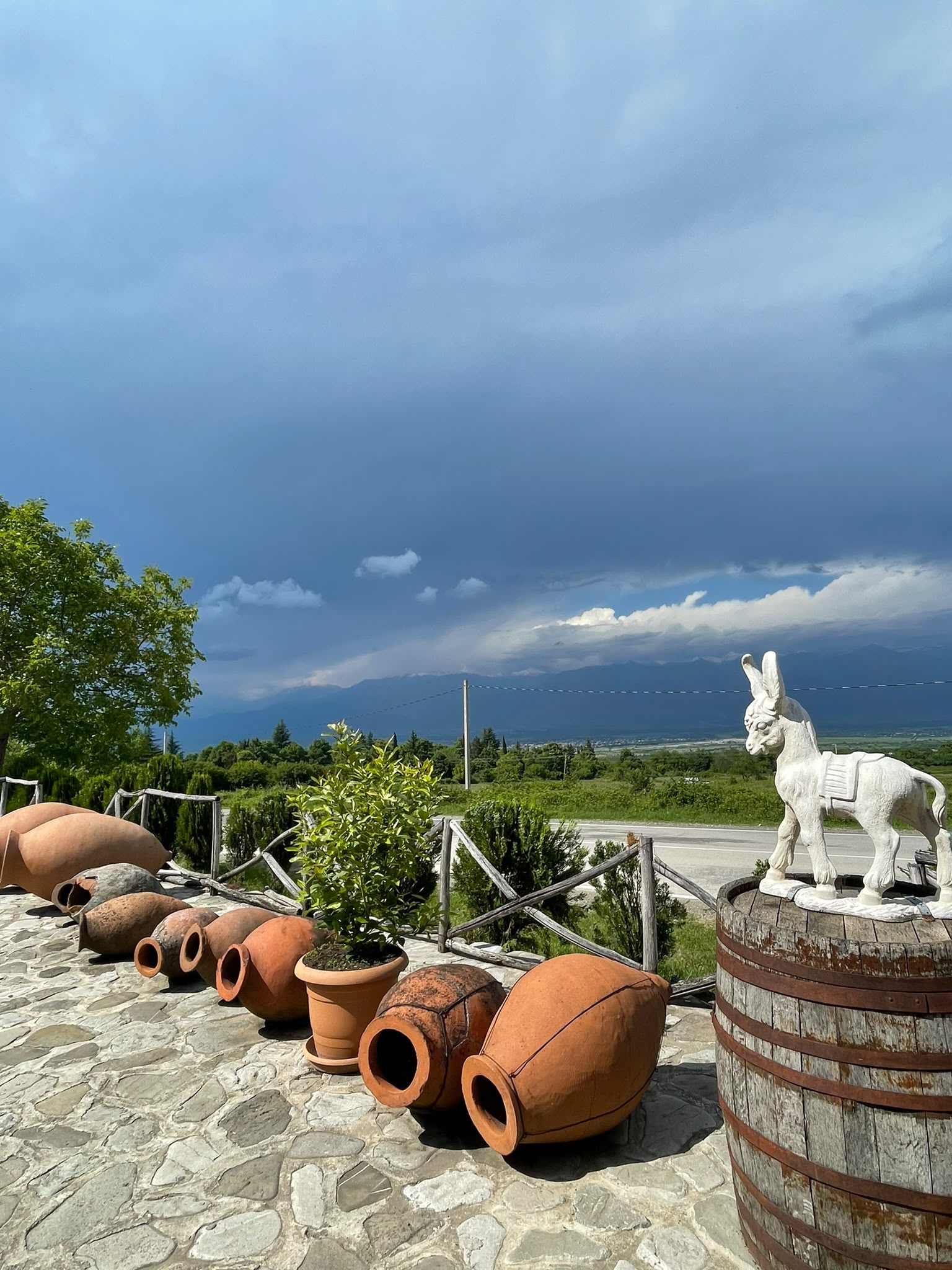 Telavi