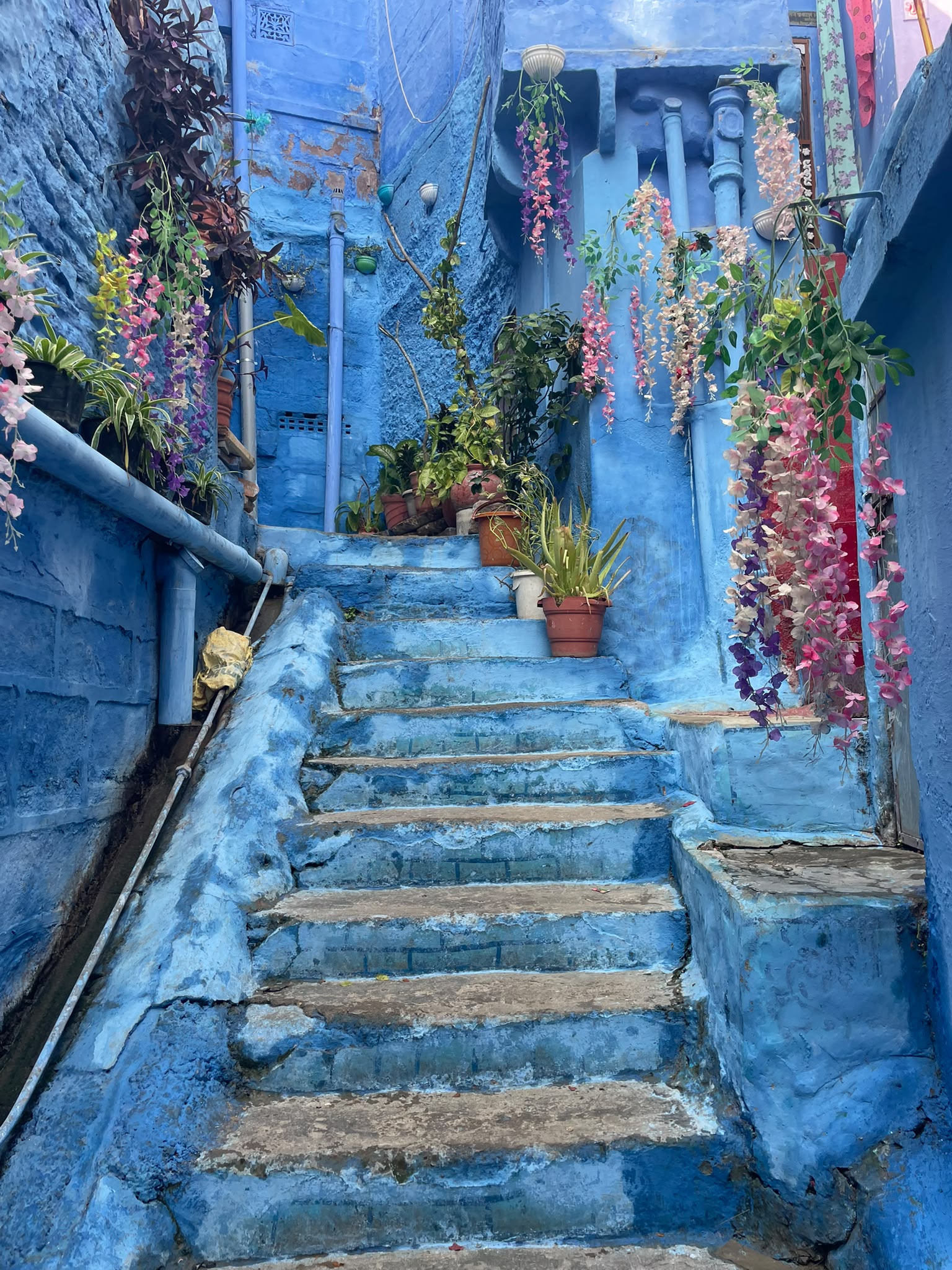 Jodhpur