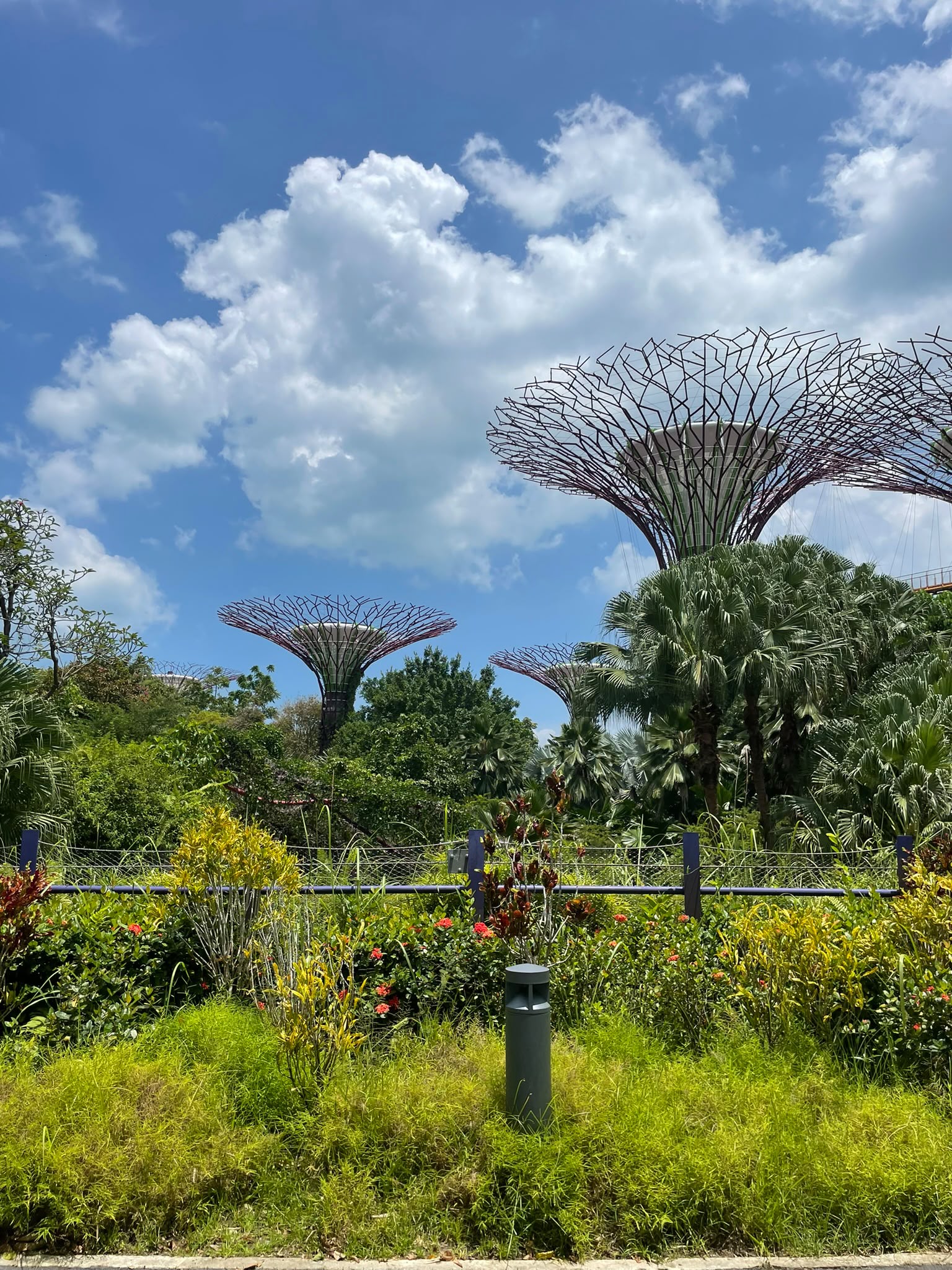 Gardens by the Bay